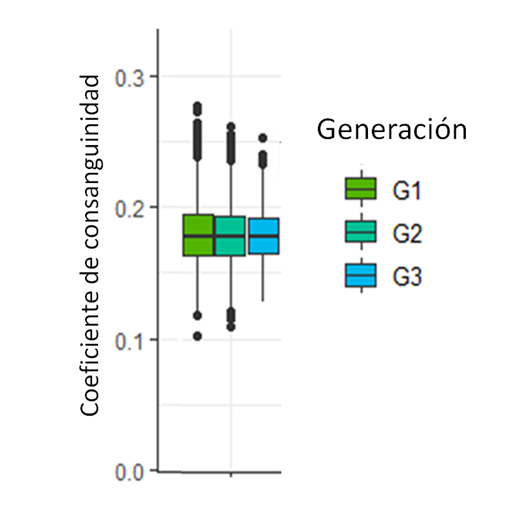 Coeficiente de consangunidad Kador