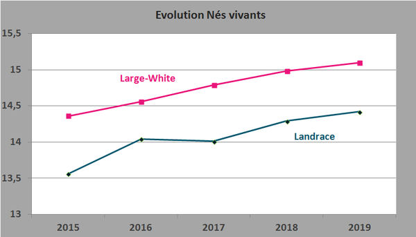 evolution-nes-vivants