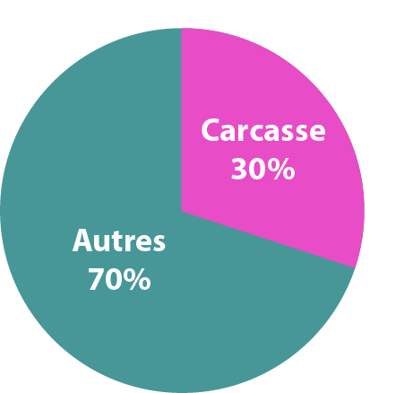 Carcasse lignée mâle