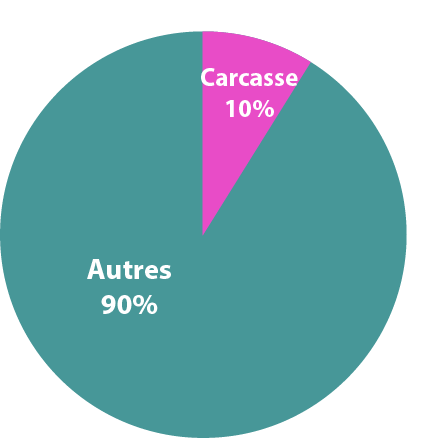 Carcasse lignée femelle