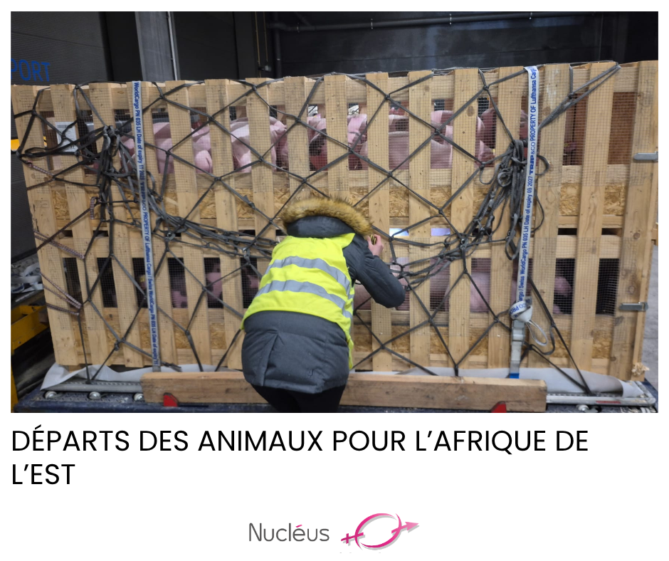 Modèle NO TITRE