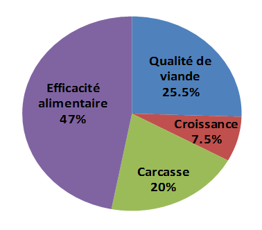 Objectifs Selection Piétrain