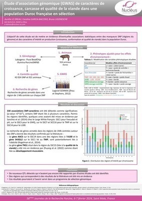 POSTER JRP 2024 GWAS