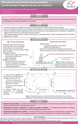 POSTER JRP 2024 perturbations