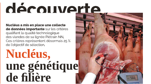 Article Réussir