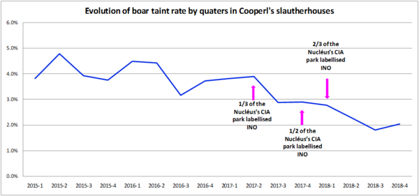 Evolution of boar taint