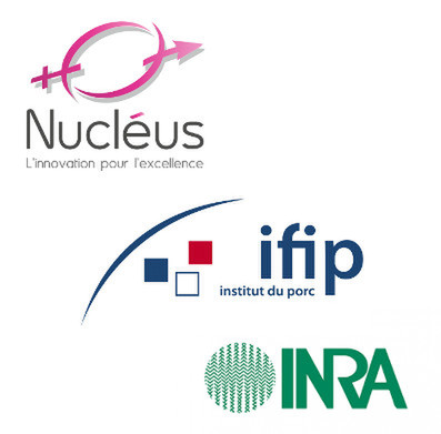 Logo Nucléus Ifip Inra