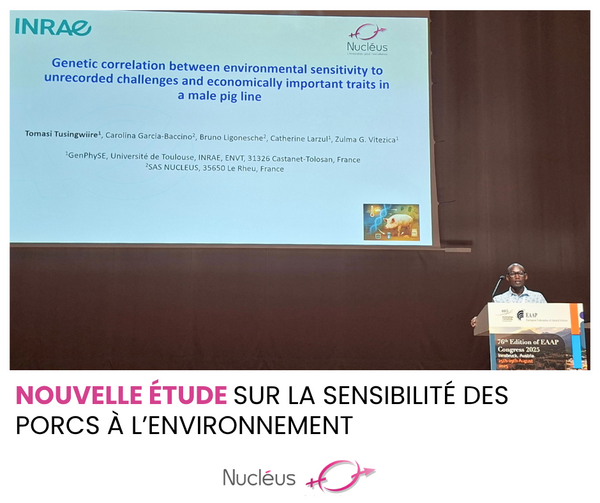 Nouvelle étude sur la sensibilité des porcs à l'environnement