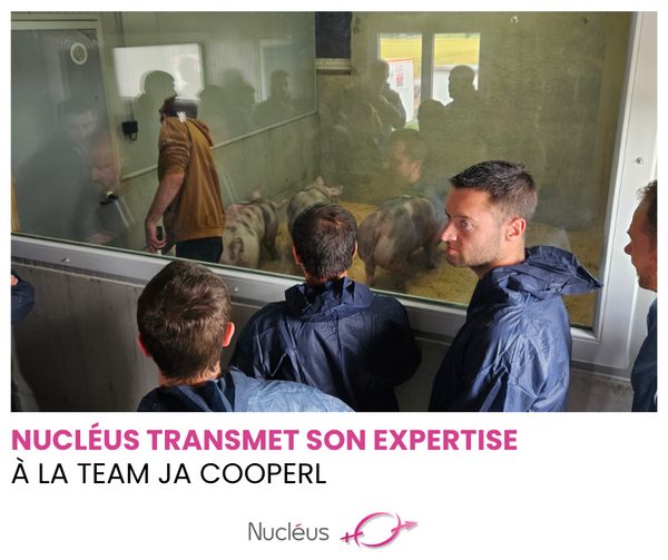 Team Ja Nucléus
