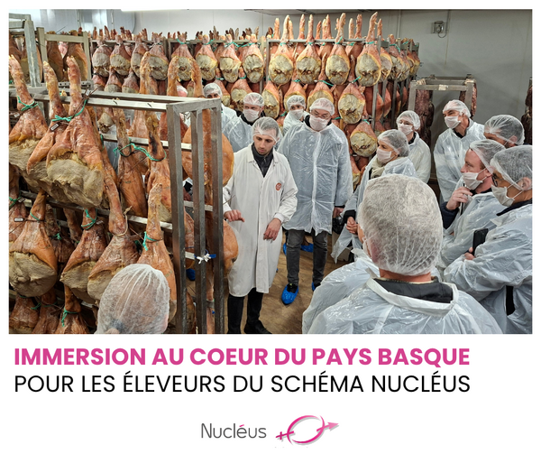 Voyage au Pays Basque