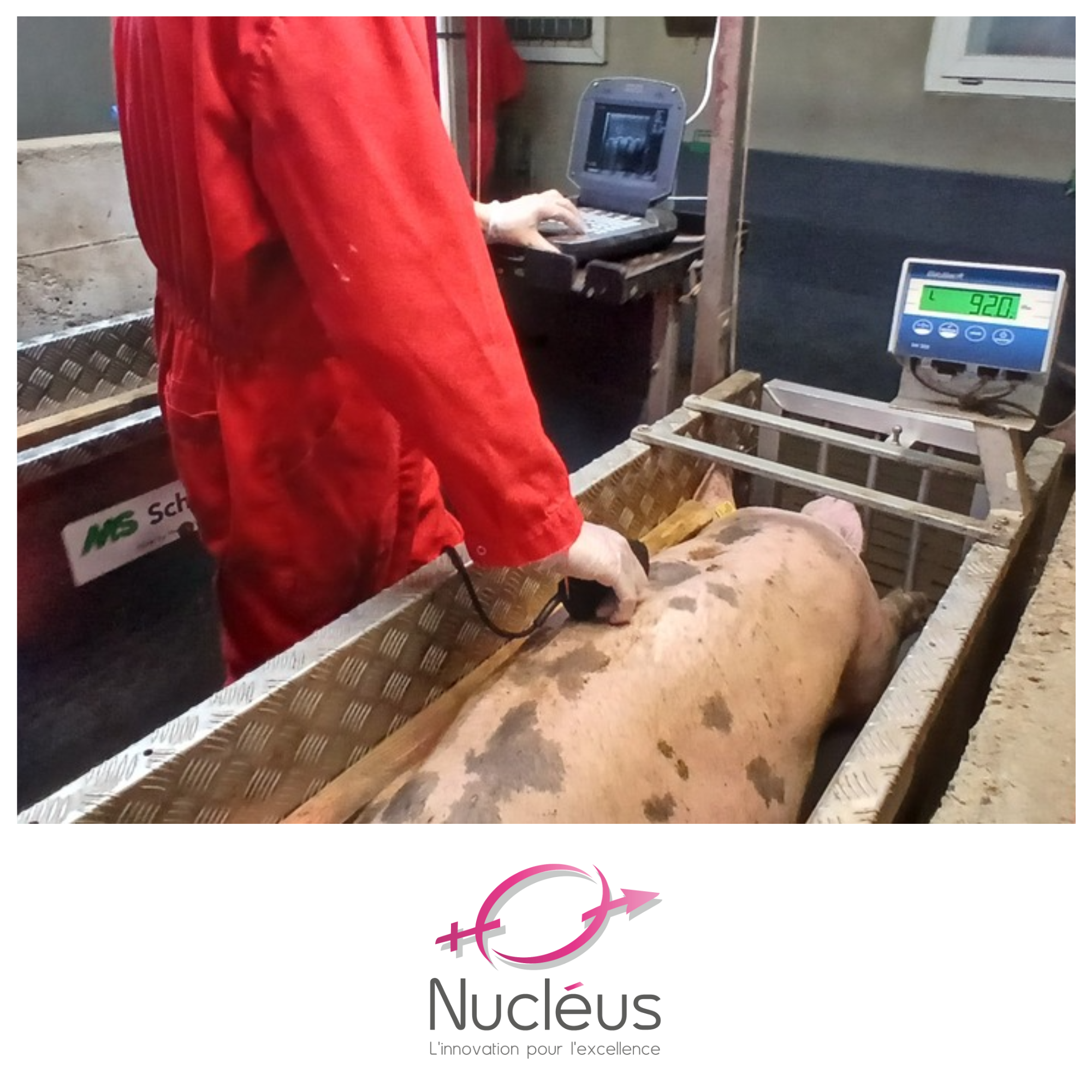 Visuel post article (1)